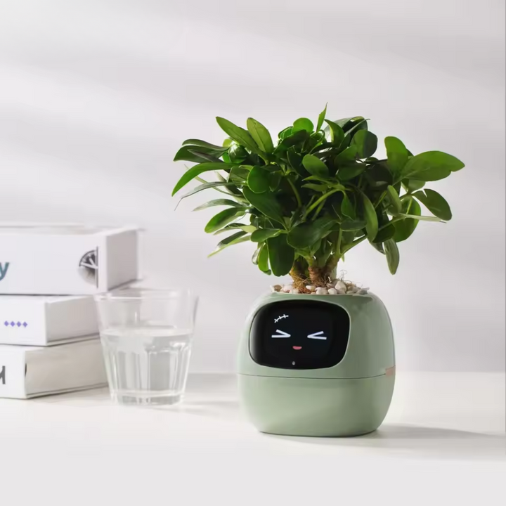 Smart AI Fun Planter