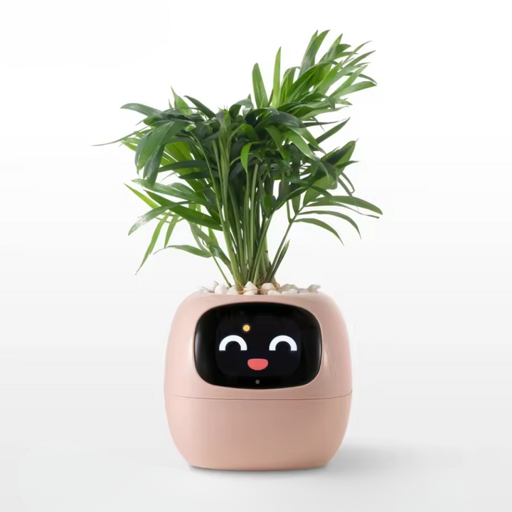 Smart AI Fun Planter